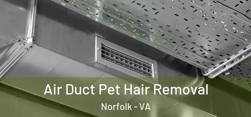  Air Duct Pet Hair Removal Norfolk - VA