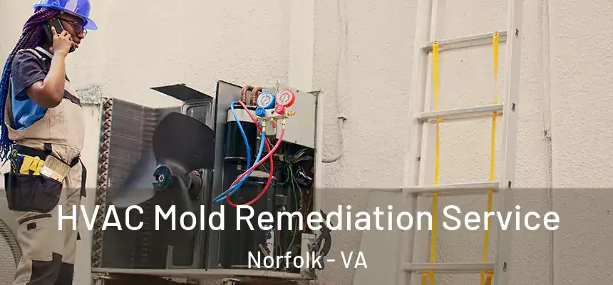  HVAC Mold Remediation Service Norfolk - VA