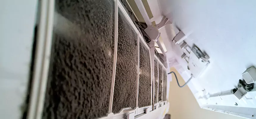 Preventive Air Duct Bacteria Removal in Norfolk