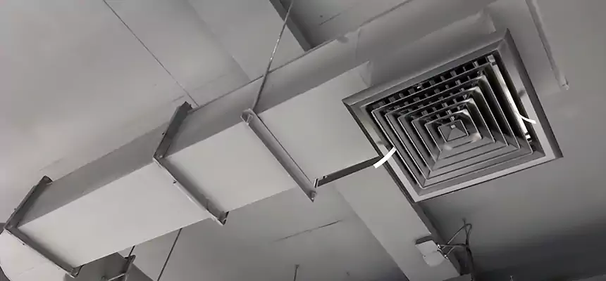 Our Pest Removal From Ducts Services in Norfolk, VA