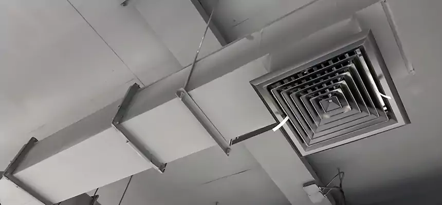 Our Rodent Droppings In Vents Services in Norfolk, VA