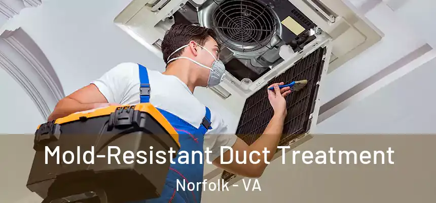  Mold-Resistant Duct Treatment Norfolk - VA