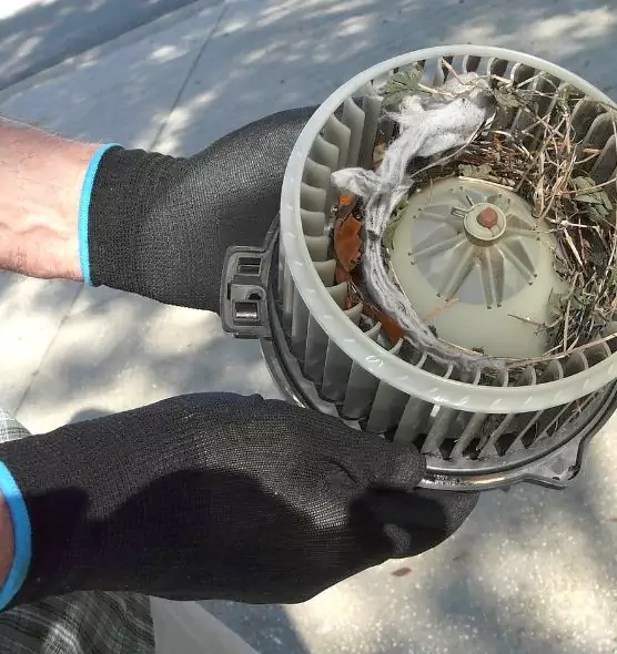 About Air Duct Rat Removal in Norfolk, VA