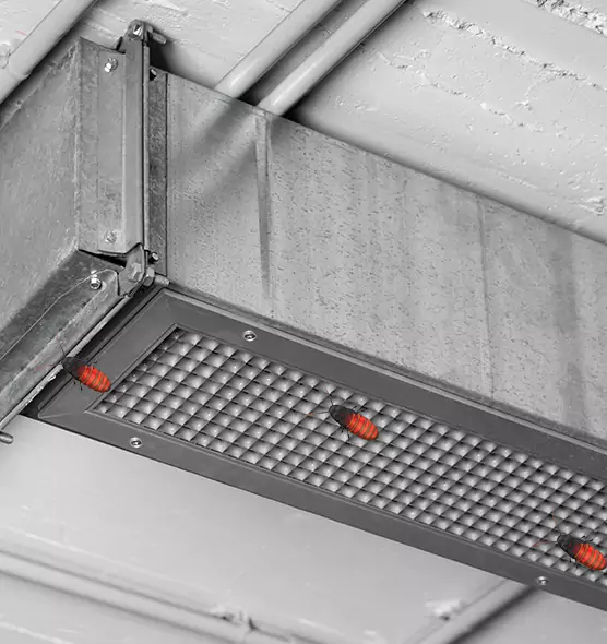 Affordable Insect Removal from Air Ducts in Norfolk, VA