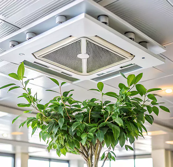 Why Homeowners & Businesses Trust Us in Norfolk, VA?