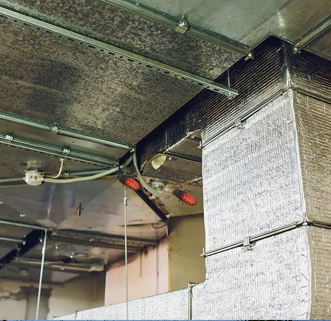 Why Homeowners & Businesses Trust Us Norfolk, VA?