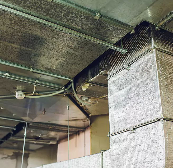 Why Homeowners & Businesses Trust Us in Norfolk, VA?