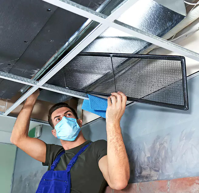 Why Homeowners & Businesses Trust Us in Norfolk, VA?